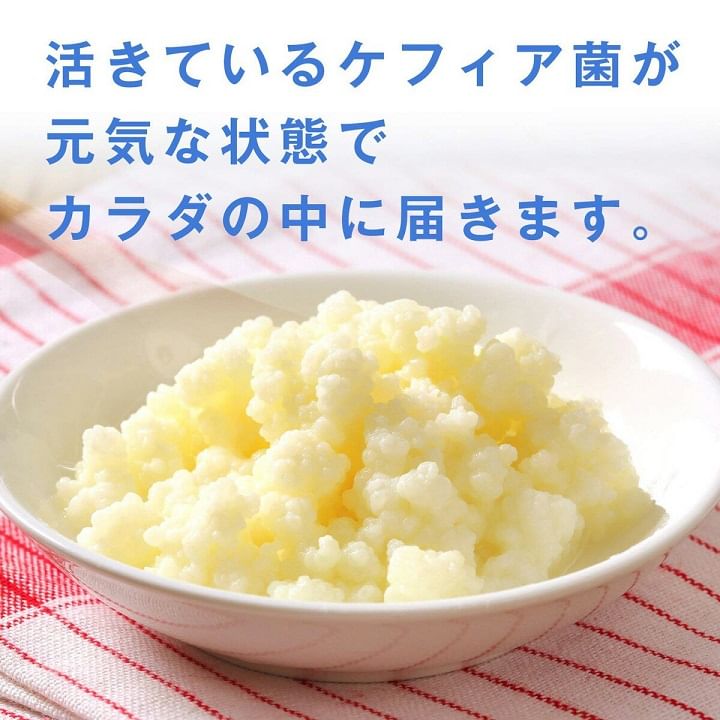 FINE JAPAN - Actieve Kefir Probiotische Tablet