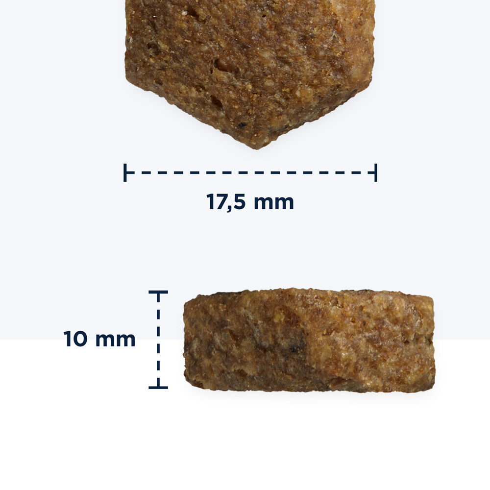 Eukanuba Graanvrij Adult Large  - Hondenvoer - 12 Kilogram - kip