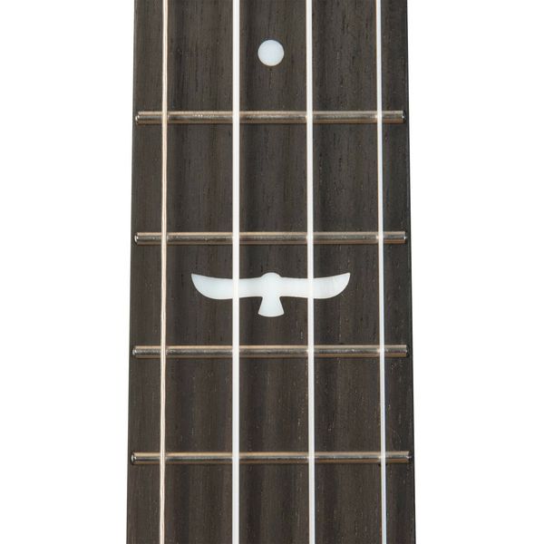 Kala KA-OWL-ACA-TE Tenor Ukulele