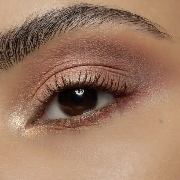 lash without limits extreme lengthening & volume mascara 02 brown