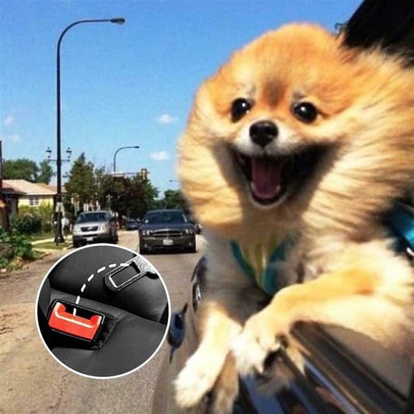 Hundebelte i svart Elastisk sikkerhetsbelte for alle hunderaser, kompatibelt med alle biler Justerbart sikkerhetsbelte for hunder på bilturen