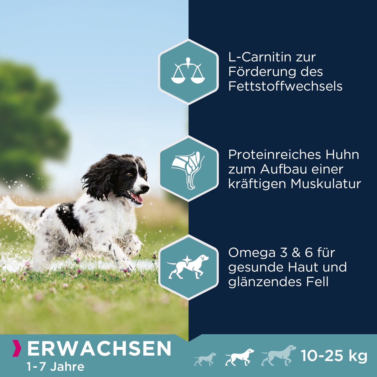 EUKANUBA Trockenfutter Hund Active Medium Breed Adult, mit Huhn 3 kg