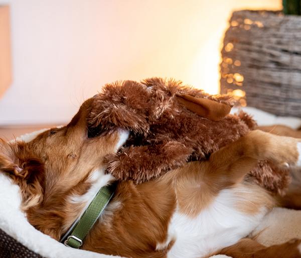 Nobby Hundespielzeug Plüschhund Schlapi