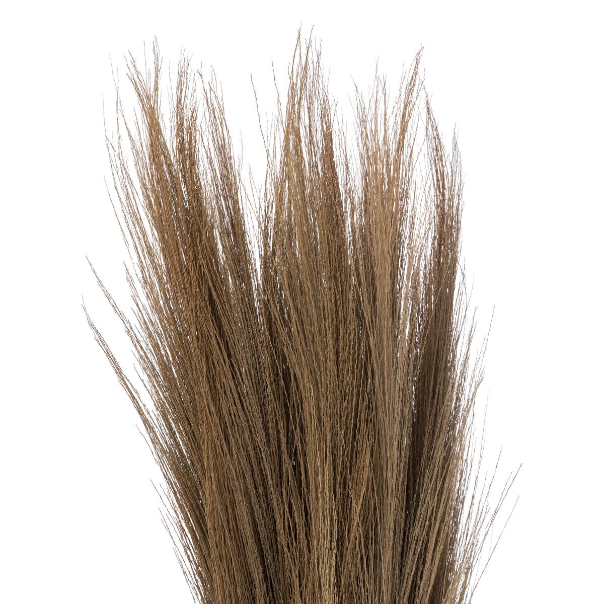 HERBES SECHEES ORIGINES H.110CM