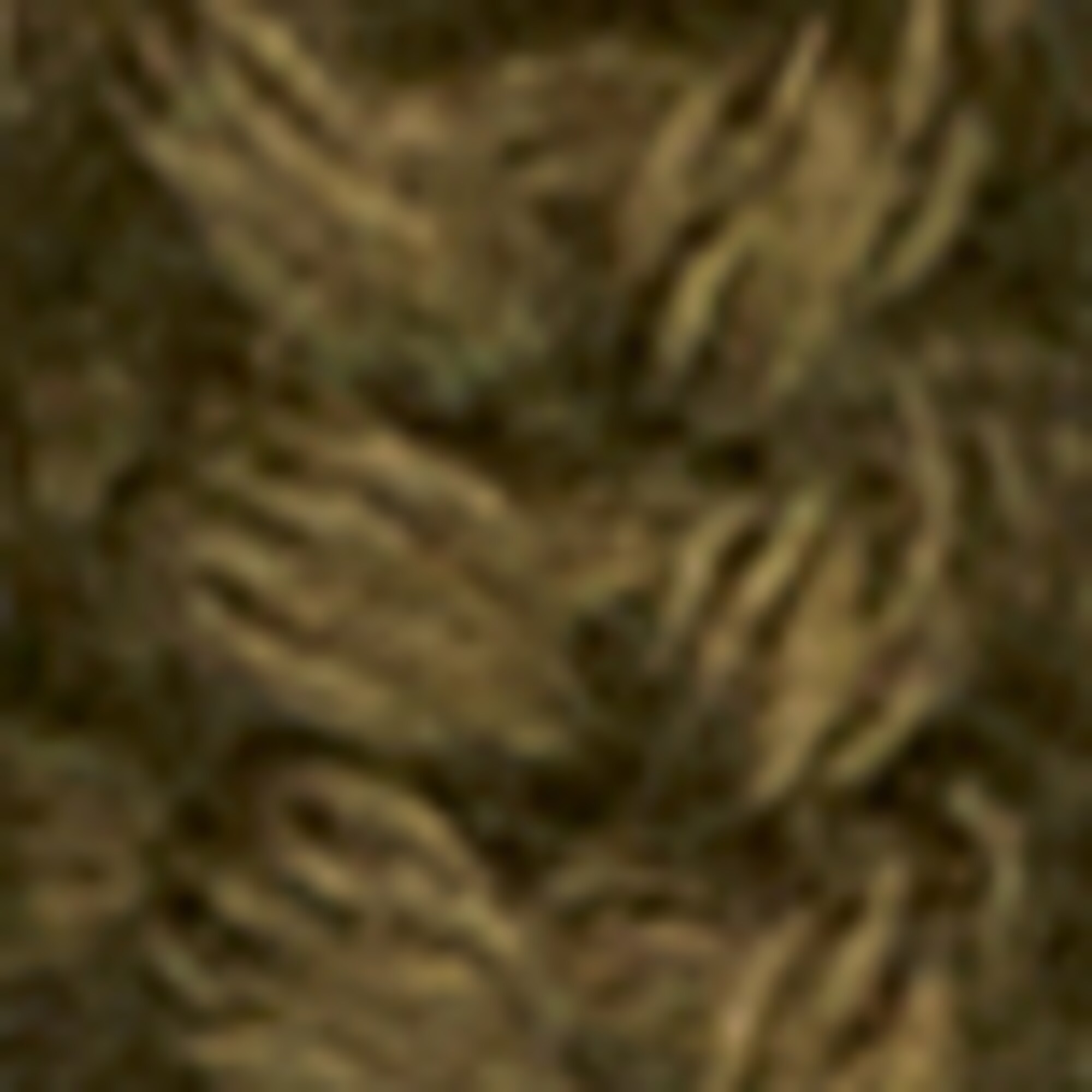 DfC Mützeaus Organic Cotton
