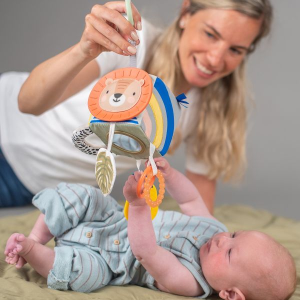 Taf Toys Activiteitenkubus Savannah