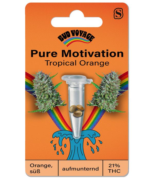 Bud Voyage Hanfsamen Pure Motivation Tropical