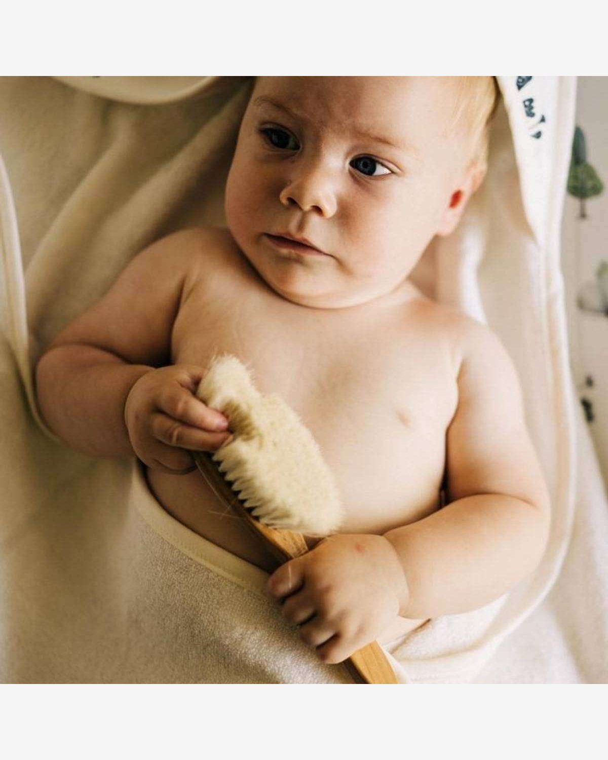 Babybørste i Bøk med Geitehår