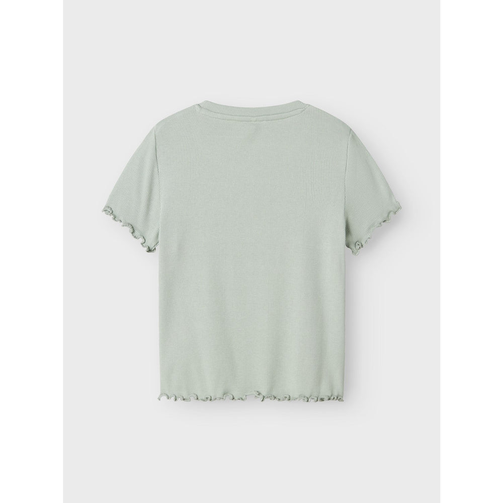 Køb Name It Aqua Gray Holimse Kort T-Shirt