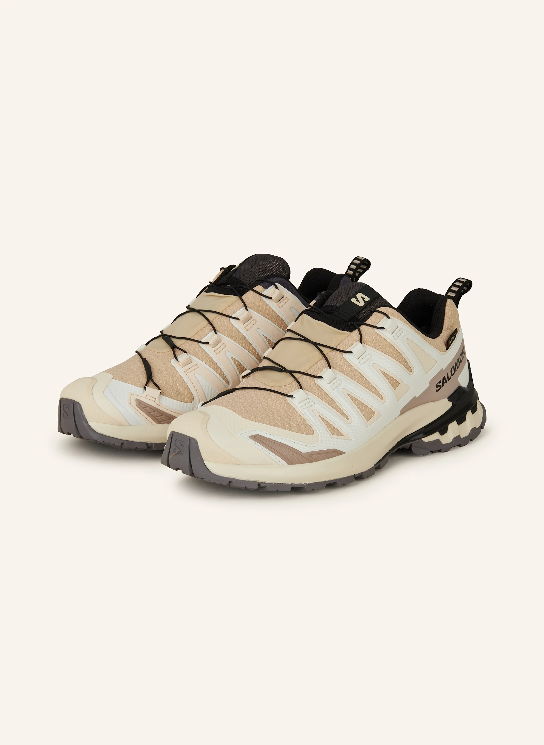 SALOMON Wanderschuhe XA PRO 3D V9 GTX