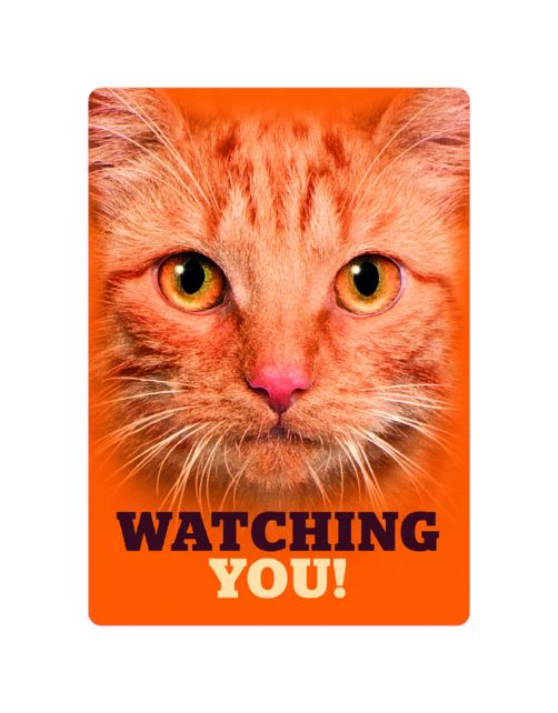 Plenty Gifts Bord Watching Orange Tabby Eyes - Cadeau - 14.8x21 cm