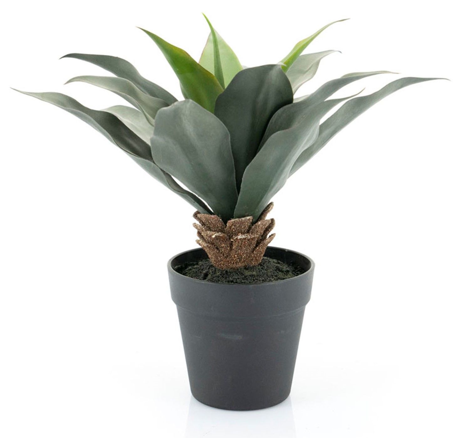 Kunstplant 403109 Sanseveria B43.5 x D43.5 x H35.5 cm