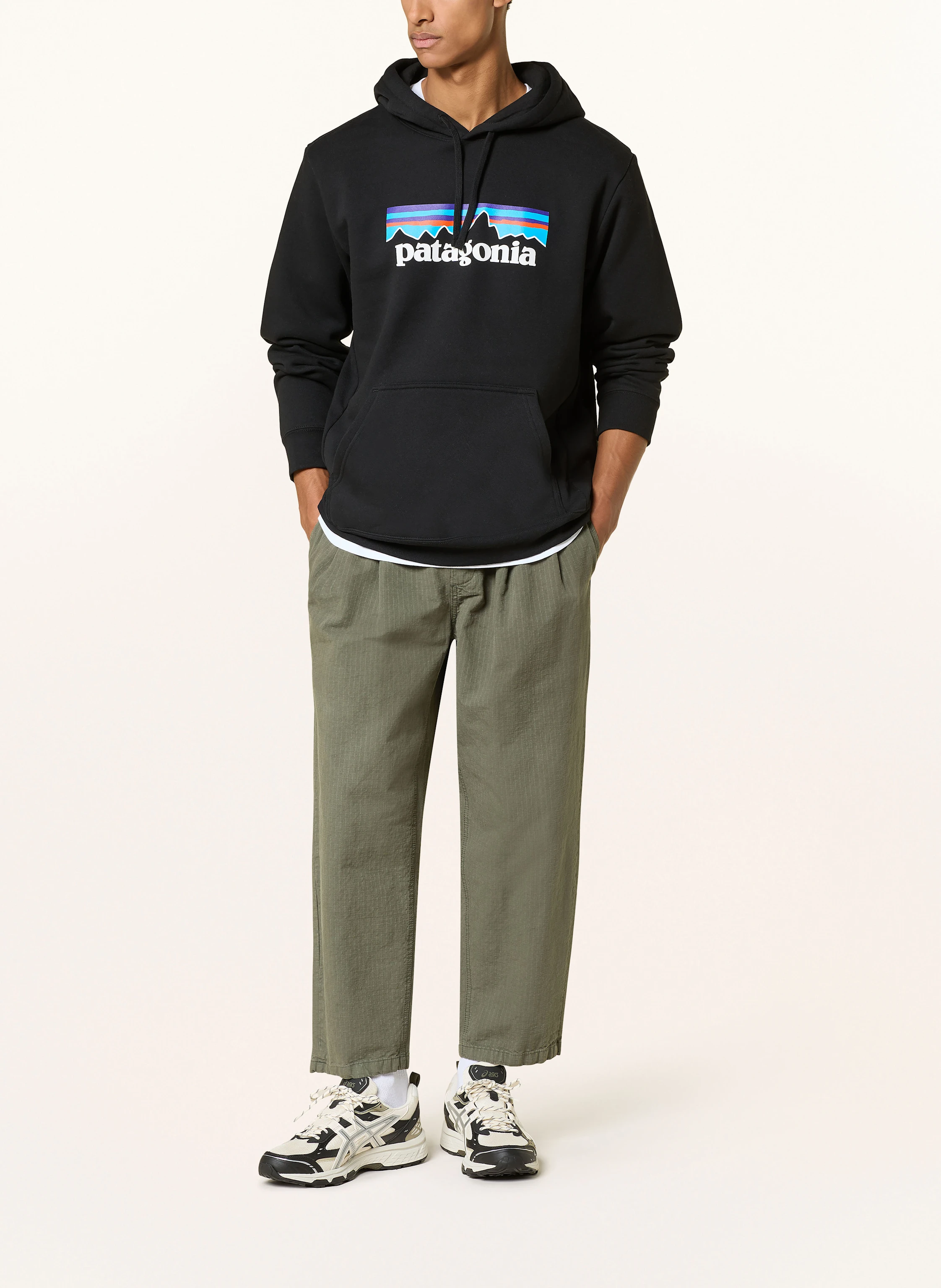 patagonia Hoodie P-6