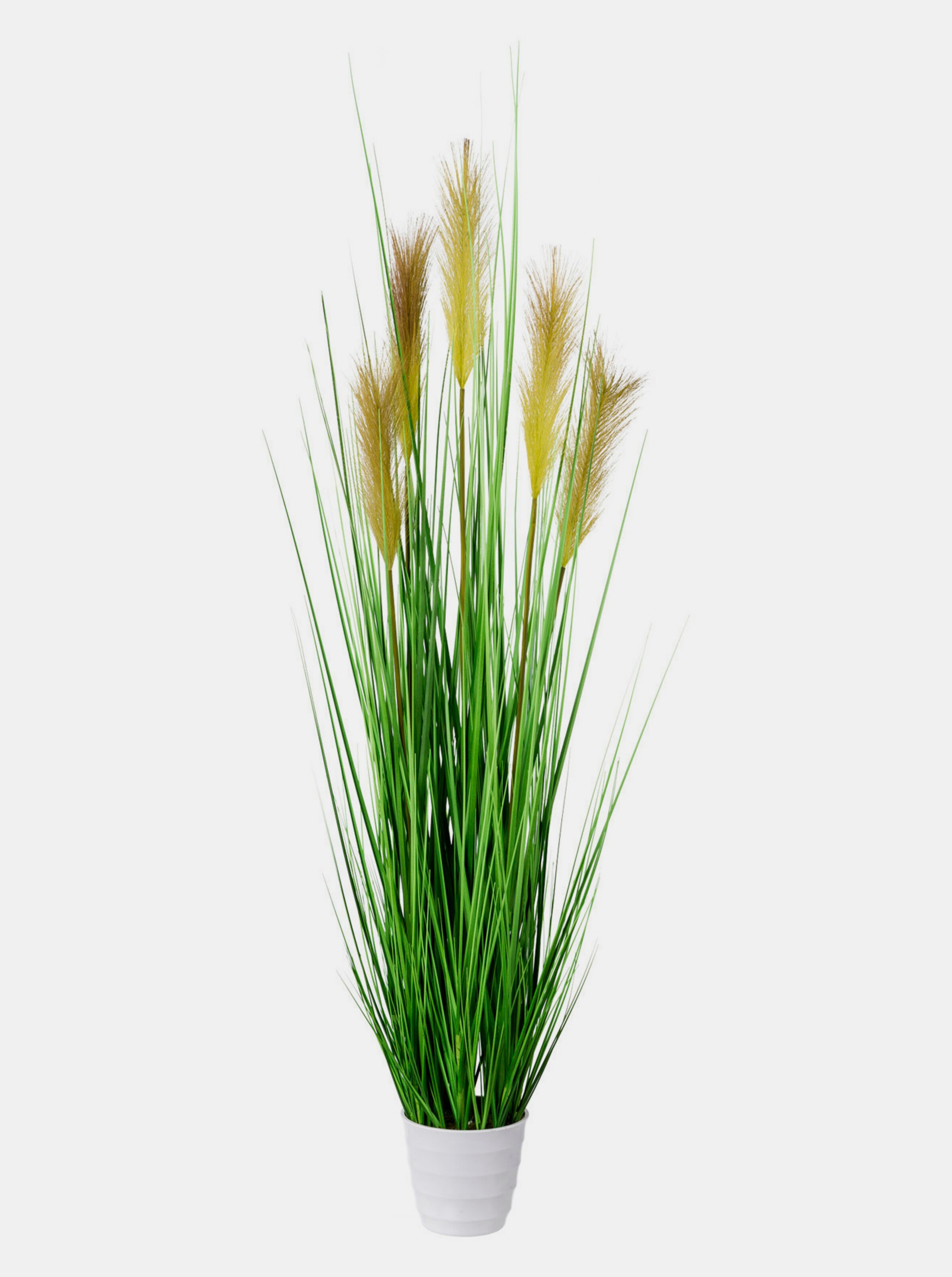 Grasbusch mit Topf