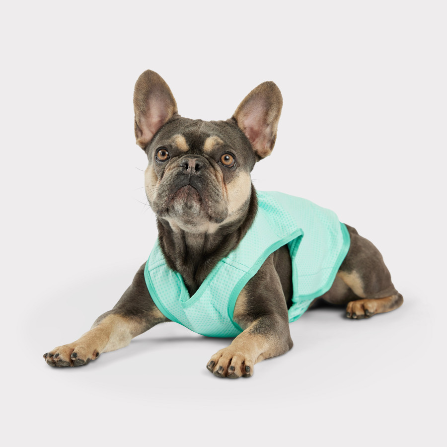 Colete refrescante GF Pet ElastoFit Ice para cães