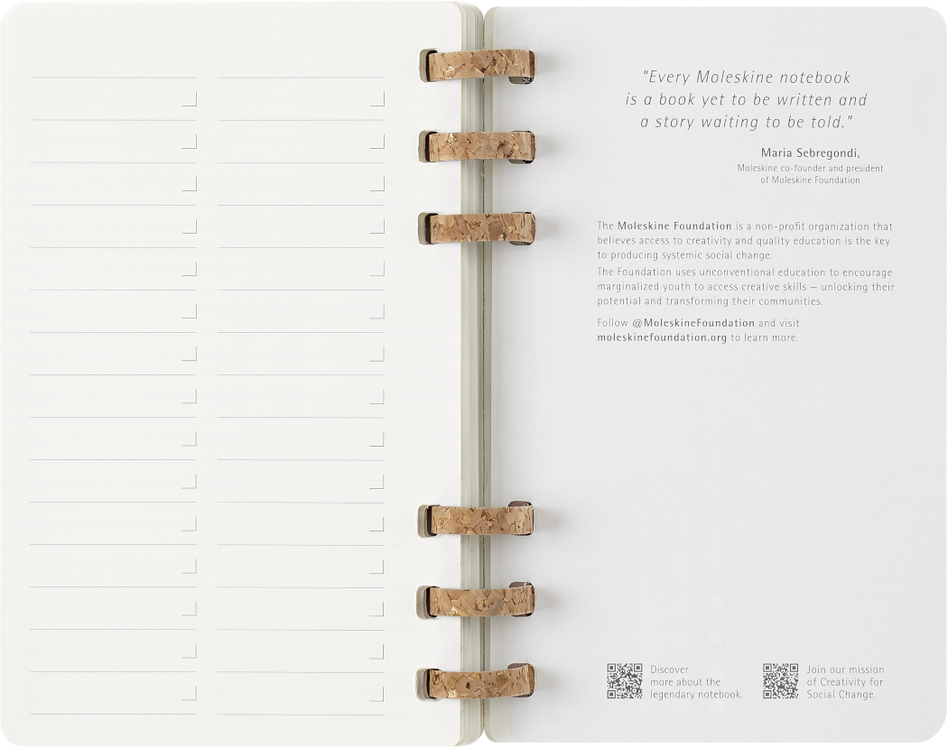 Life Planner 2025 L 12-Month, Spiral