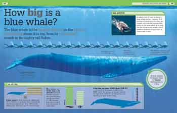 It Can't Be True!: Incredible Visual Comparisons - DK 1,000 Amazing Facts (Hardback)