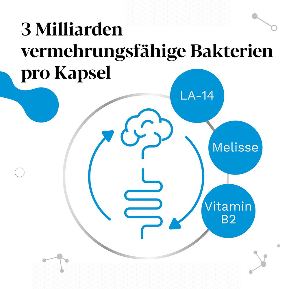 IberoBiotics® Zen - für ein gutes Bauchgefühl in stressigen Zeiten