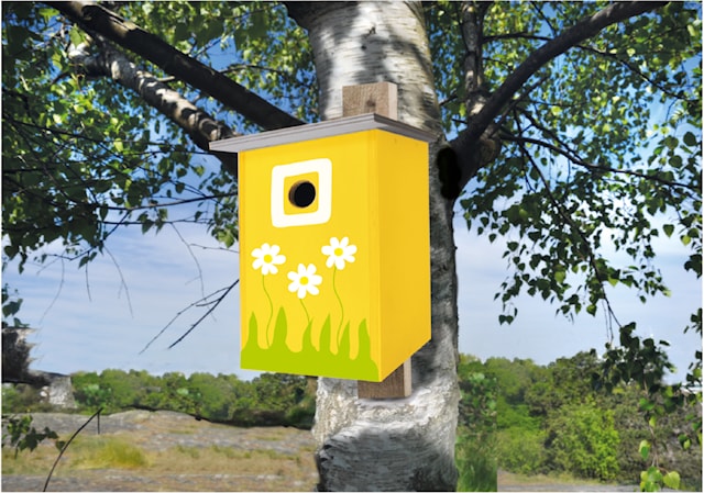 Hobbysett Fuglekasse Playbox