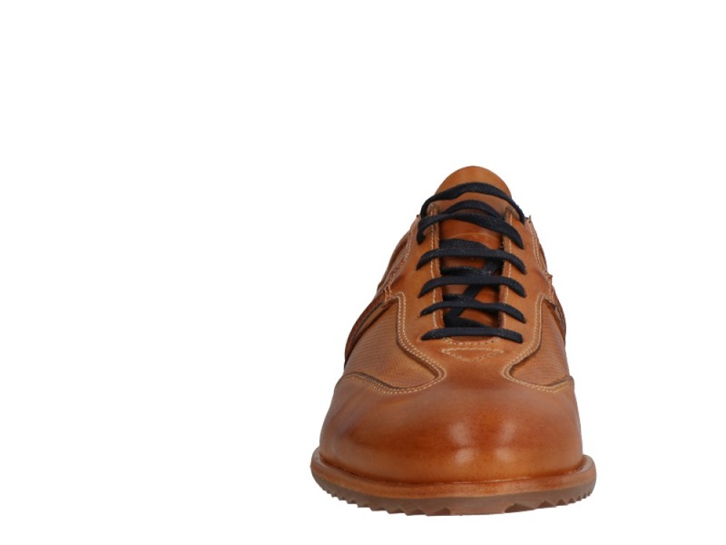 Will Lester 36305 Cognac/donkerbruin