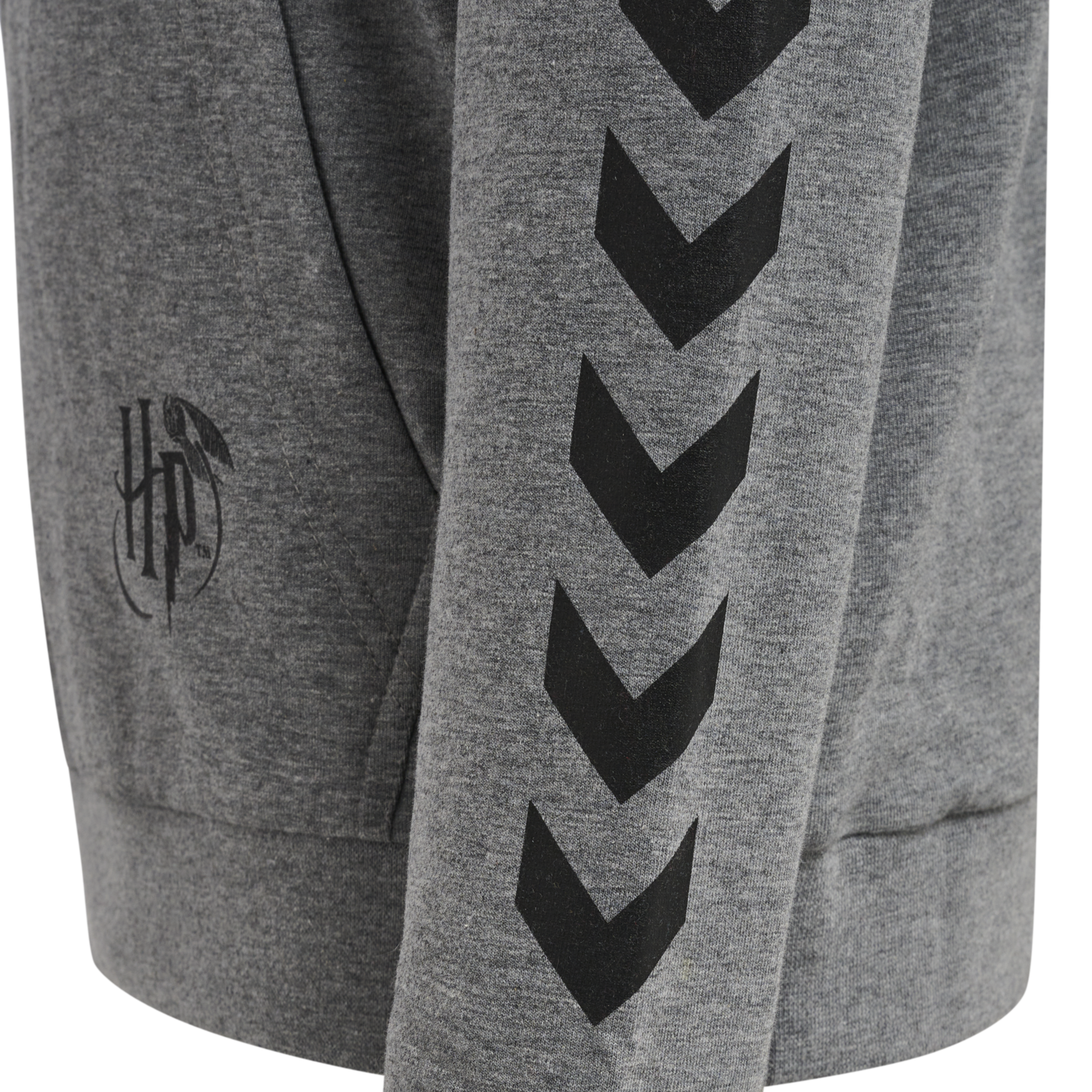 hmlHARRY POTTER CUATRO HOODIE