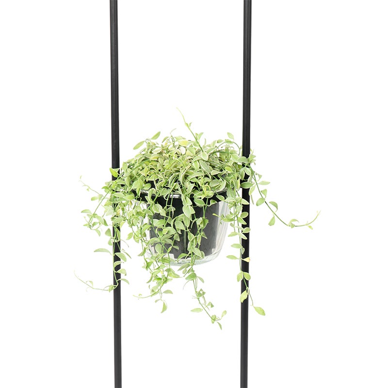 QAZQA - Moderne staande lamp, zwart met glas, 25 cm - Roslini I Woonkamer I Slaapkamer - Staal, langwerpig - LED-compatibel, E27