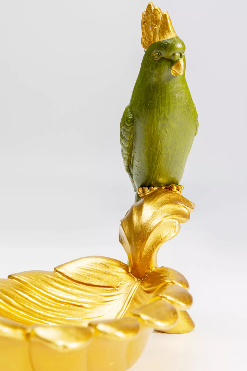 Schale Parrot