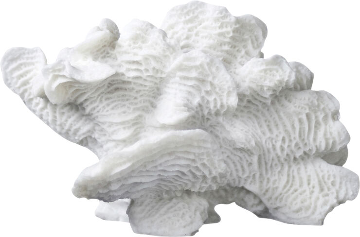 Mette Ditmer Coral, large fan Hvid