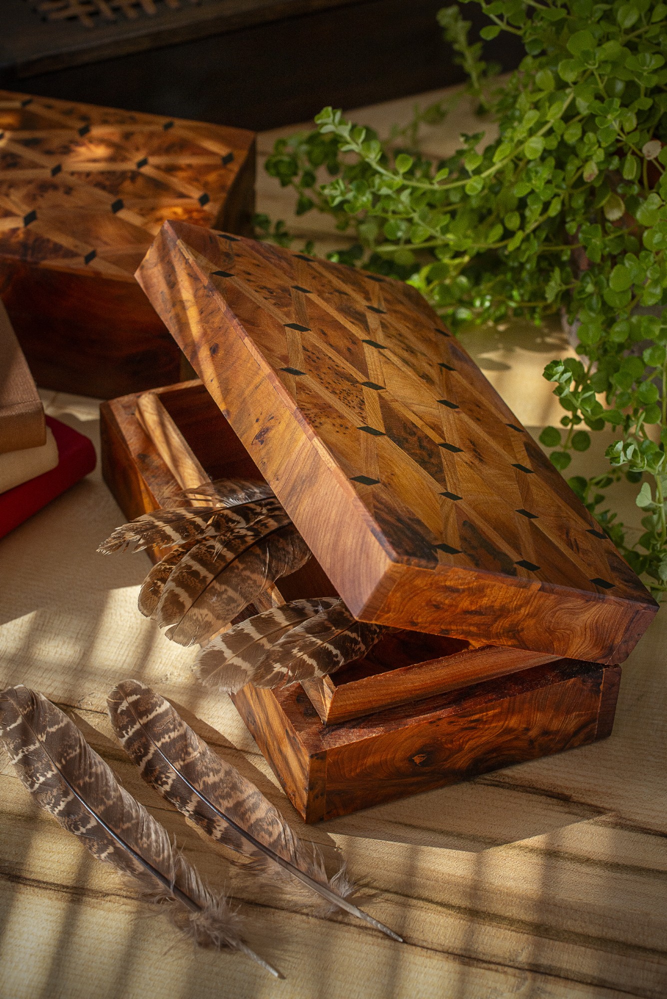 Thuja Box mit Intarsien, B 20 cm, T 12 cm, H 6 cm von fischer's lagerhaus