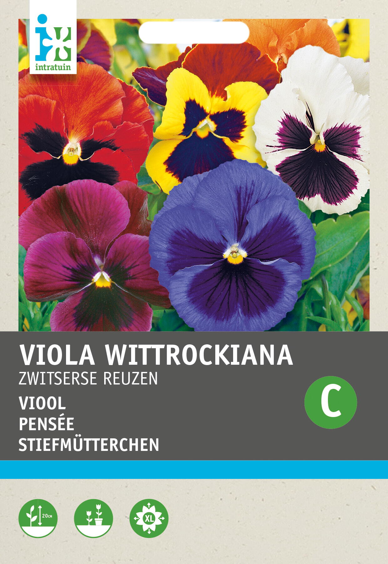 Intratuin bloemenzaad Viooltje gemengd (Viola wittrockiana 'Zwitserse Reuzen')