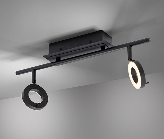 Paul Neuhaus LED-Deckenleuchte »Sileda«, klein