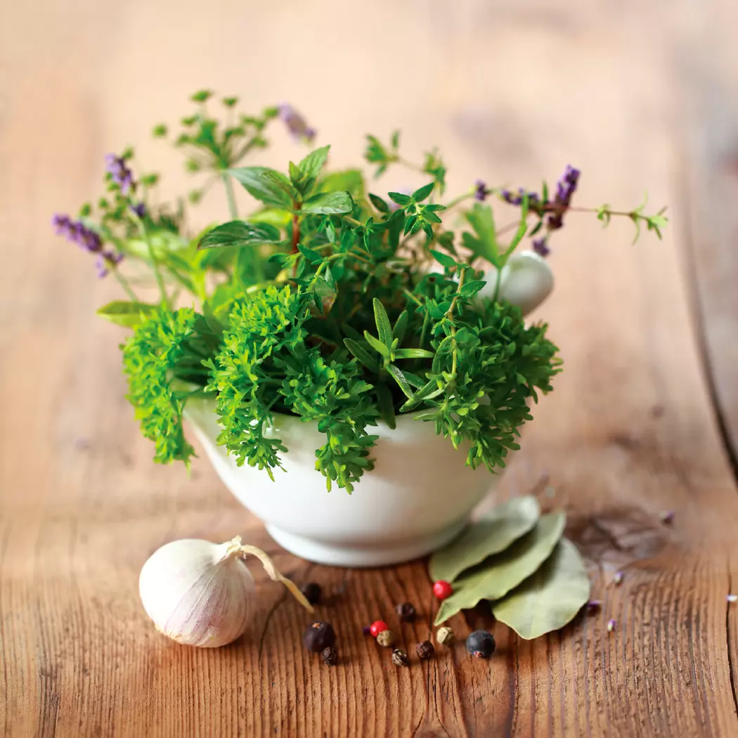 Wandbild 30 x 30 cm Herbs II