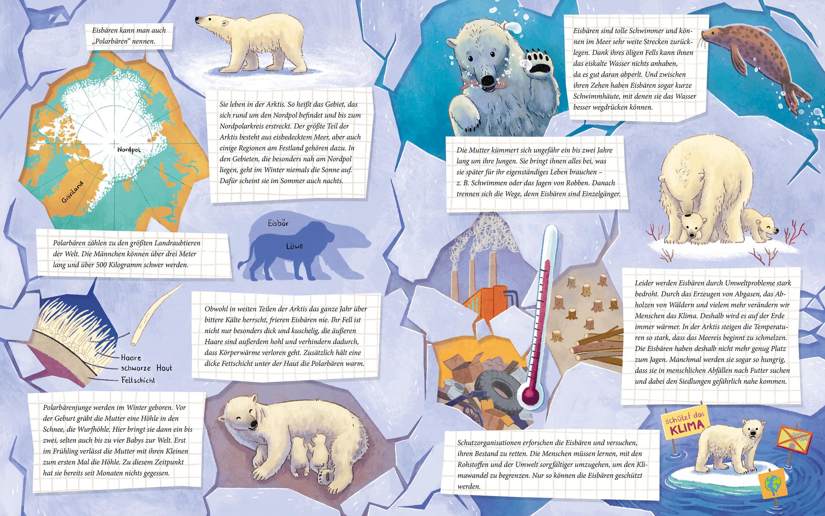 Der kleine Polarbär - Zu Hause in der Arktis / Tierkinder und ihr Zuhause Bd.3