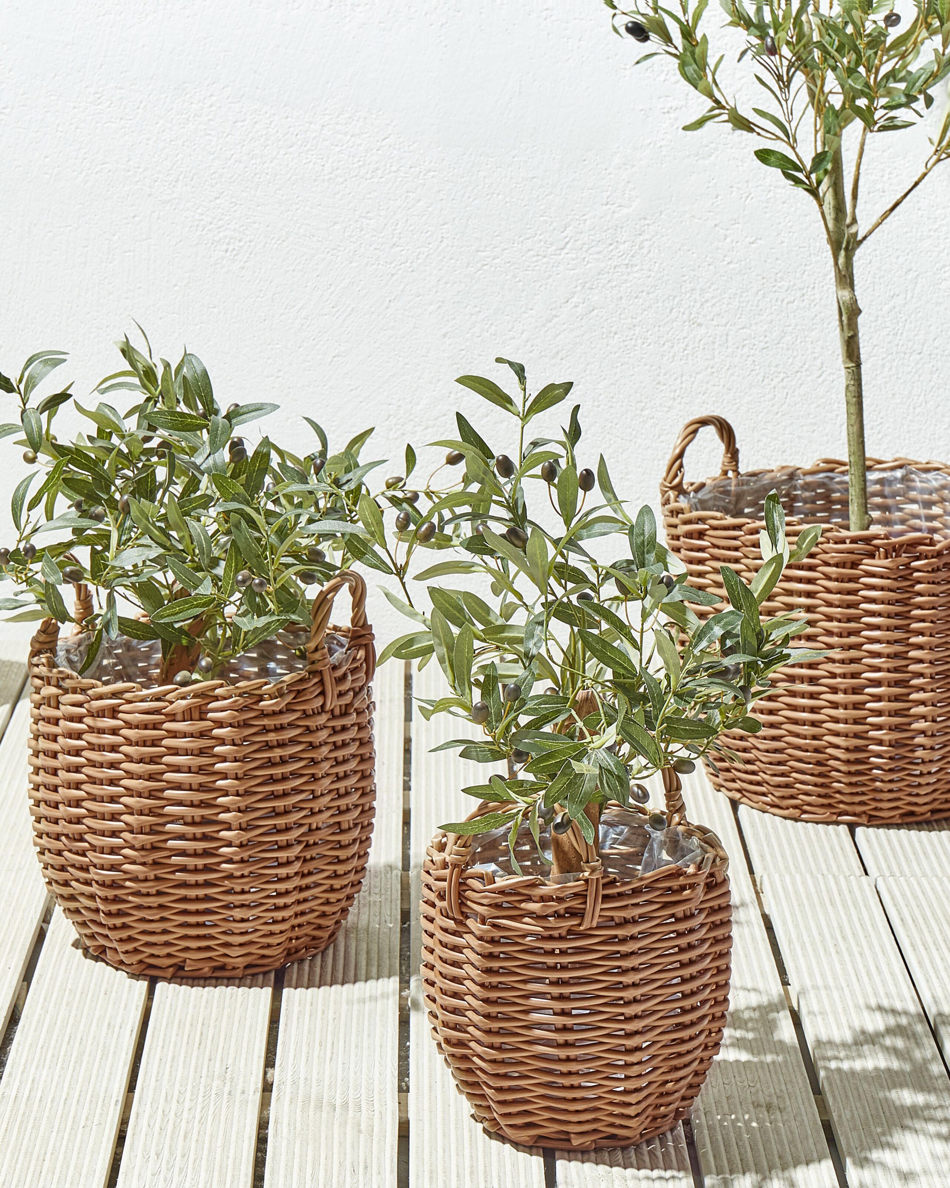 Set van 3 bloempotten AUCUBA 26/34/44 cm Lichtbruin