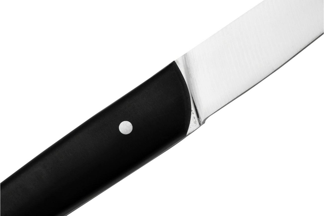 Lion Sabatier International Occitan 901182, 4-delige steakmessenset