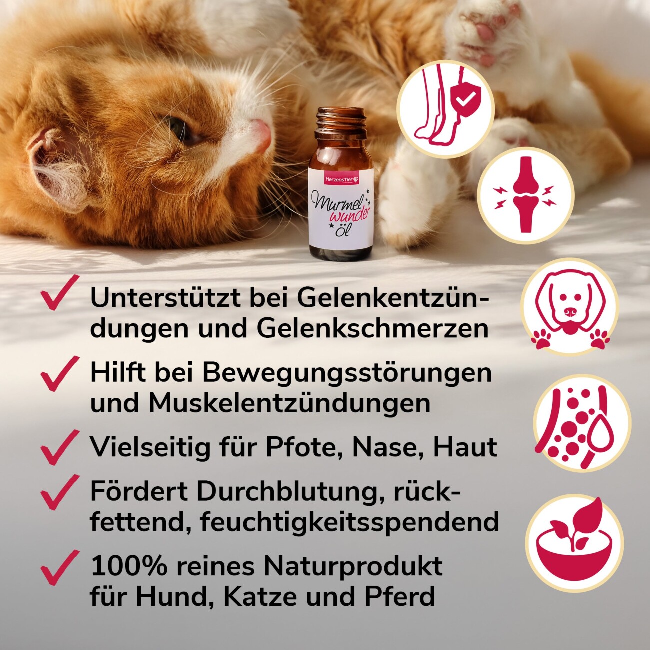HerzensTier Murmelwunderöl 30ml