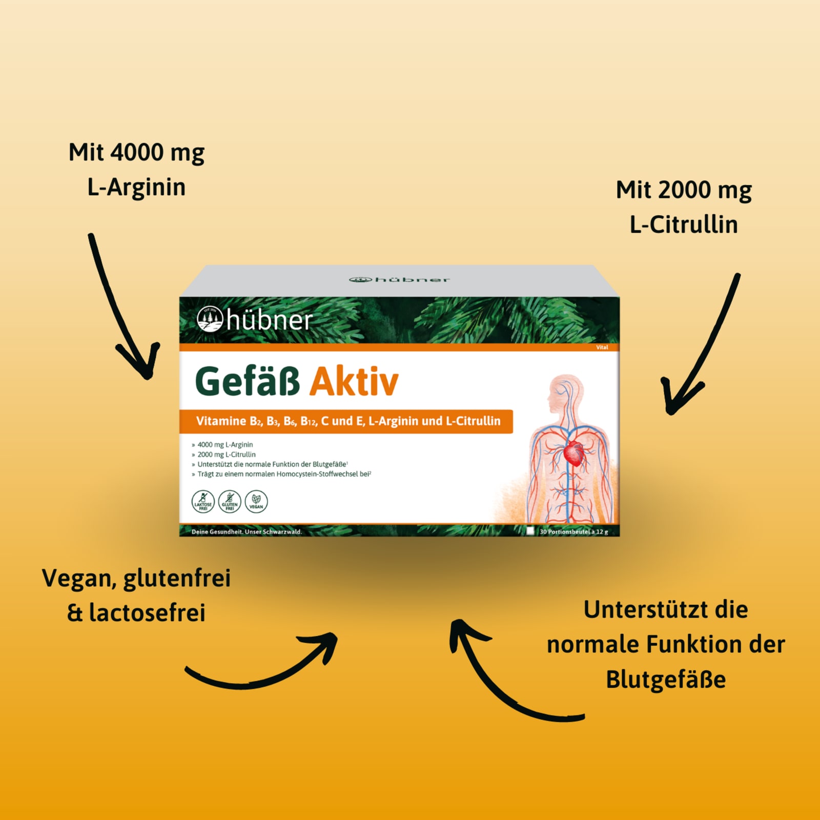 Gefäß-Aktiv von Hübner (30x12g)