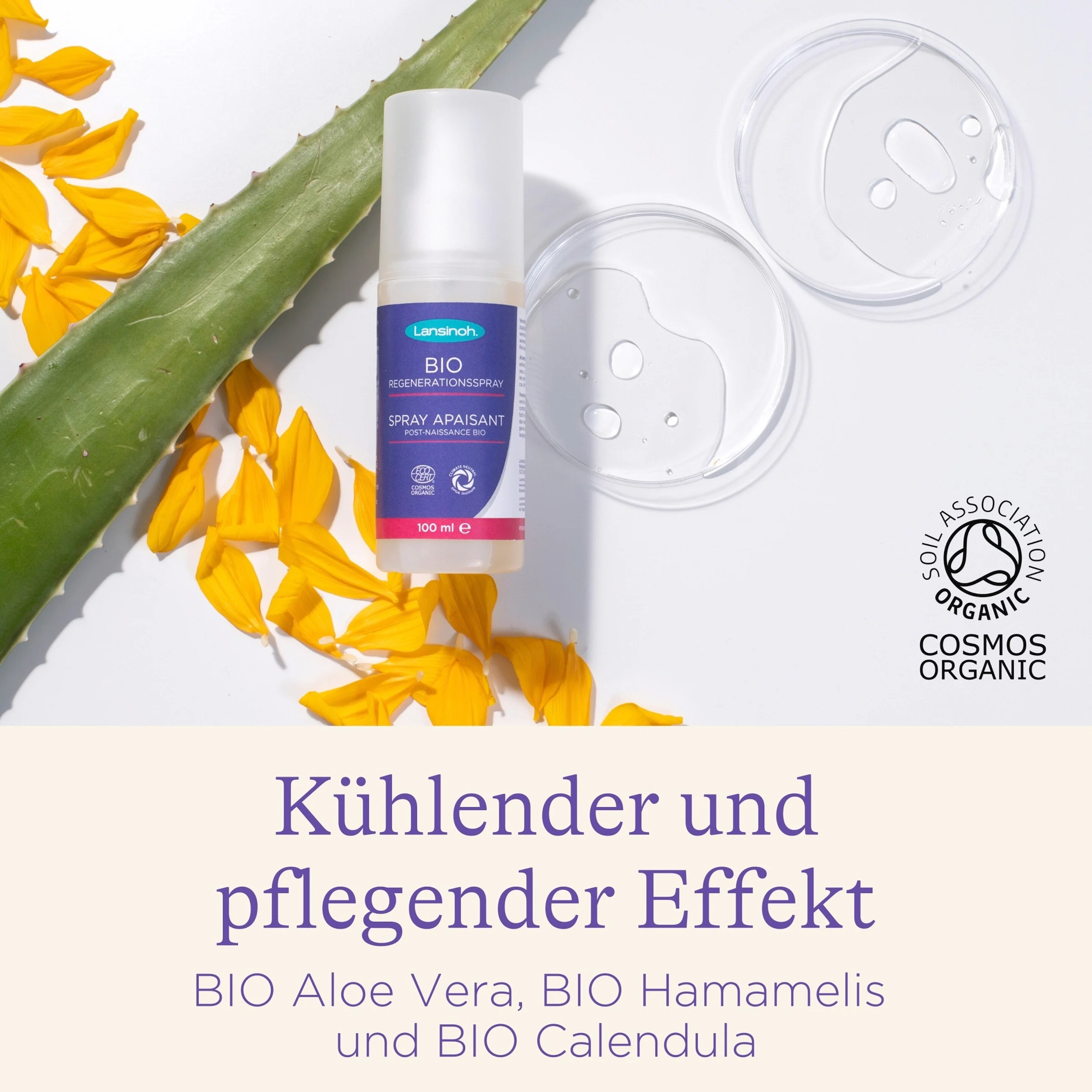 Lansinoh BIO Regenerationsspray 100ml