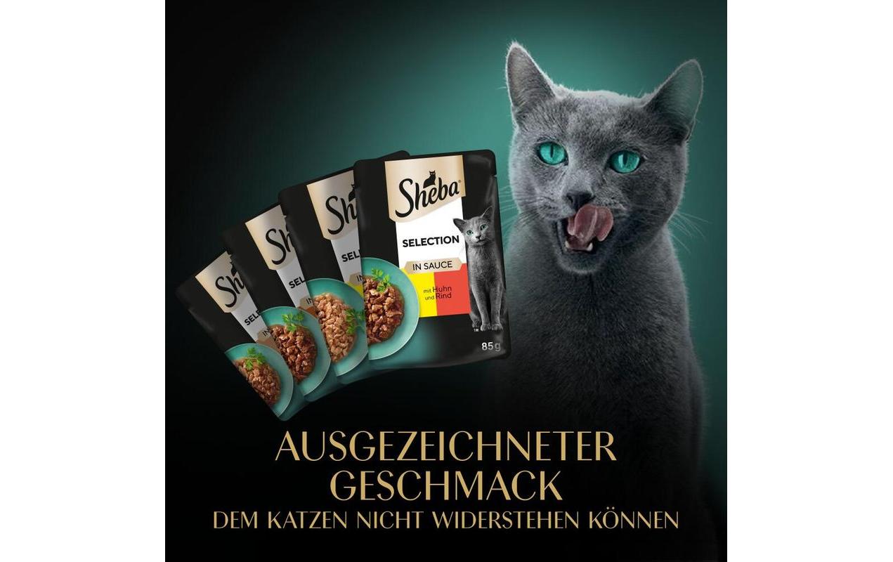 Nassfutter Selection Sauce Herzhafte Komposition, 4 x 85gAlleinfuttermittel für ausgewachsene Katzen