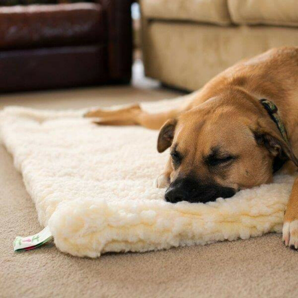 HuggleHounds Hondenmat Natural Small53 x 79 cm