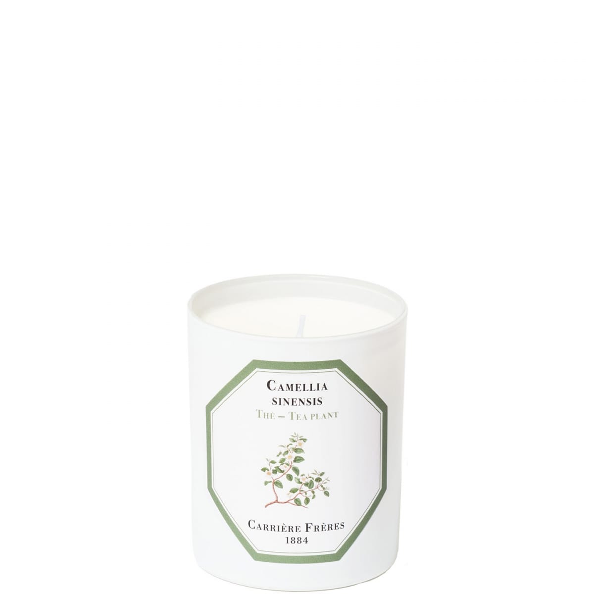 CARRIÈRE FRÈRES Thé - Camelia Sinensis Bougie Parfumée