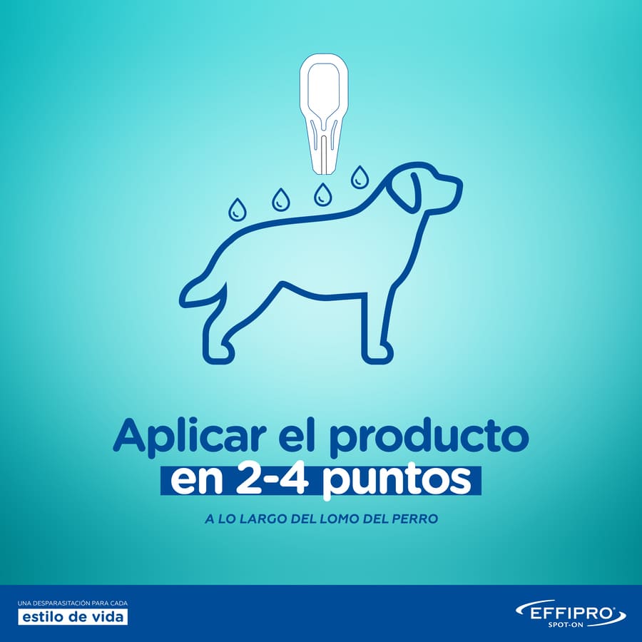 Pipetas antiparasitárias Effipro para cães de 40 a 60 kg