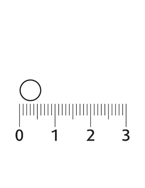 Melatonine tabletjes 299 mcg