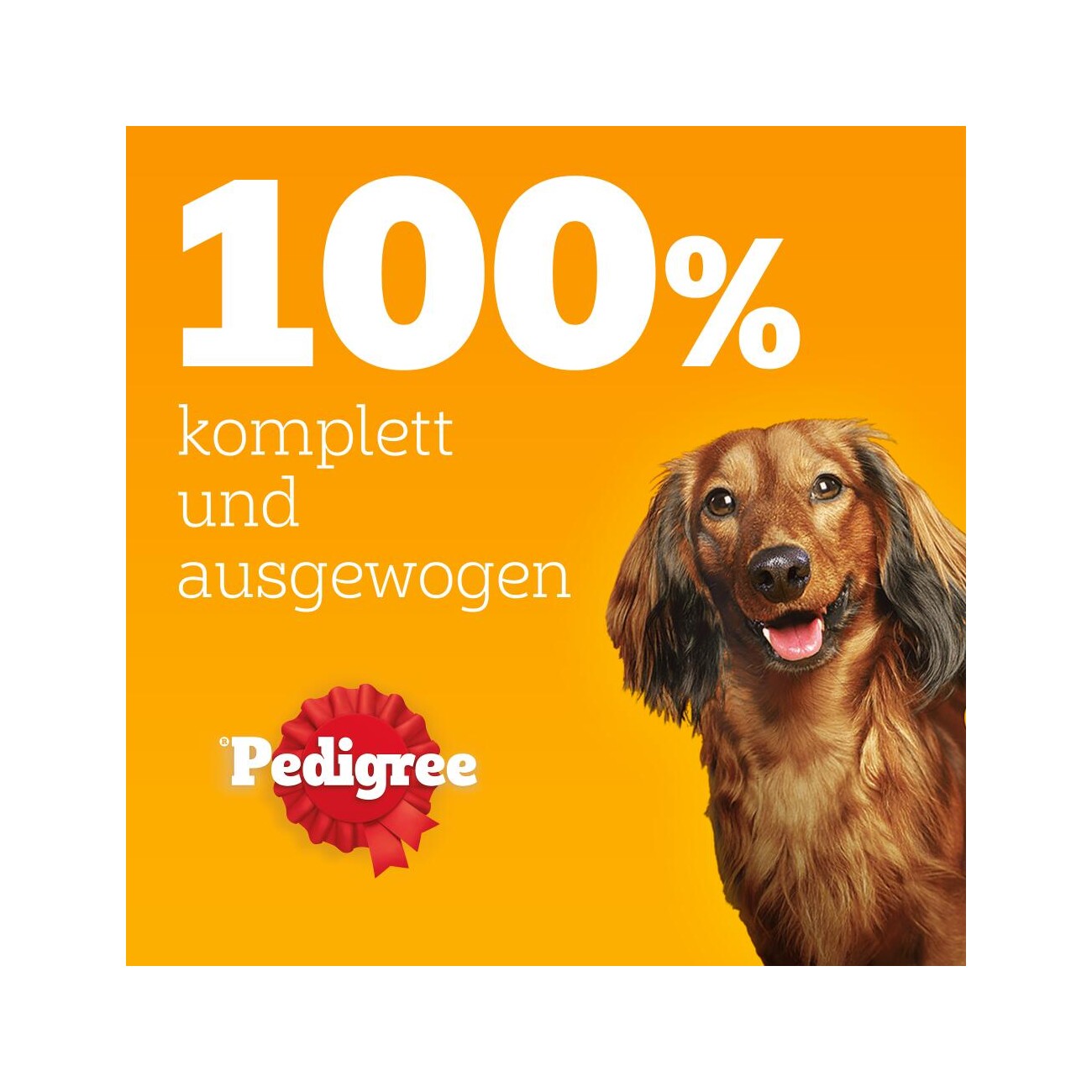 Pedigree Nassfutter Hund Senior, Multipack, Gemischte-Selektion, in Gelee 12x100 g