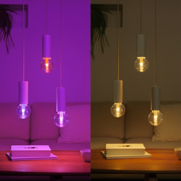 Philips Hue Lightguide globelamp G95 - wit en gekleurd licht 6.8W - E27