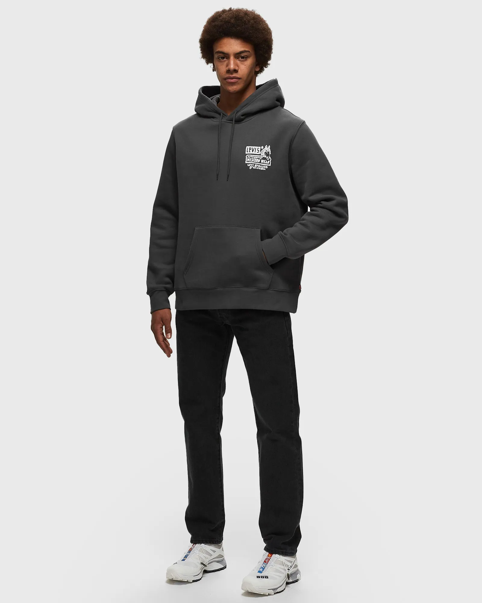 Levis STANDARD GRAPHIC HOODIE