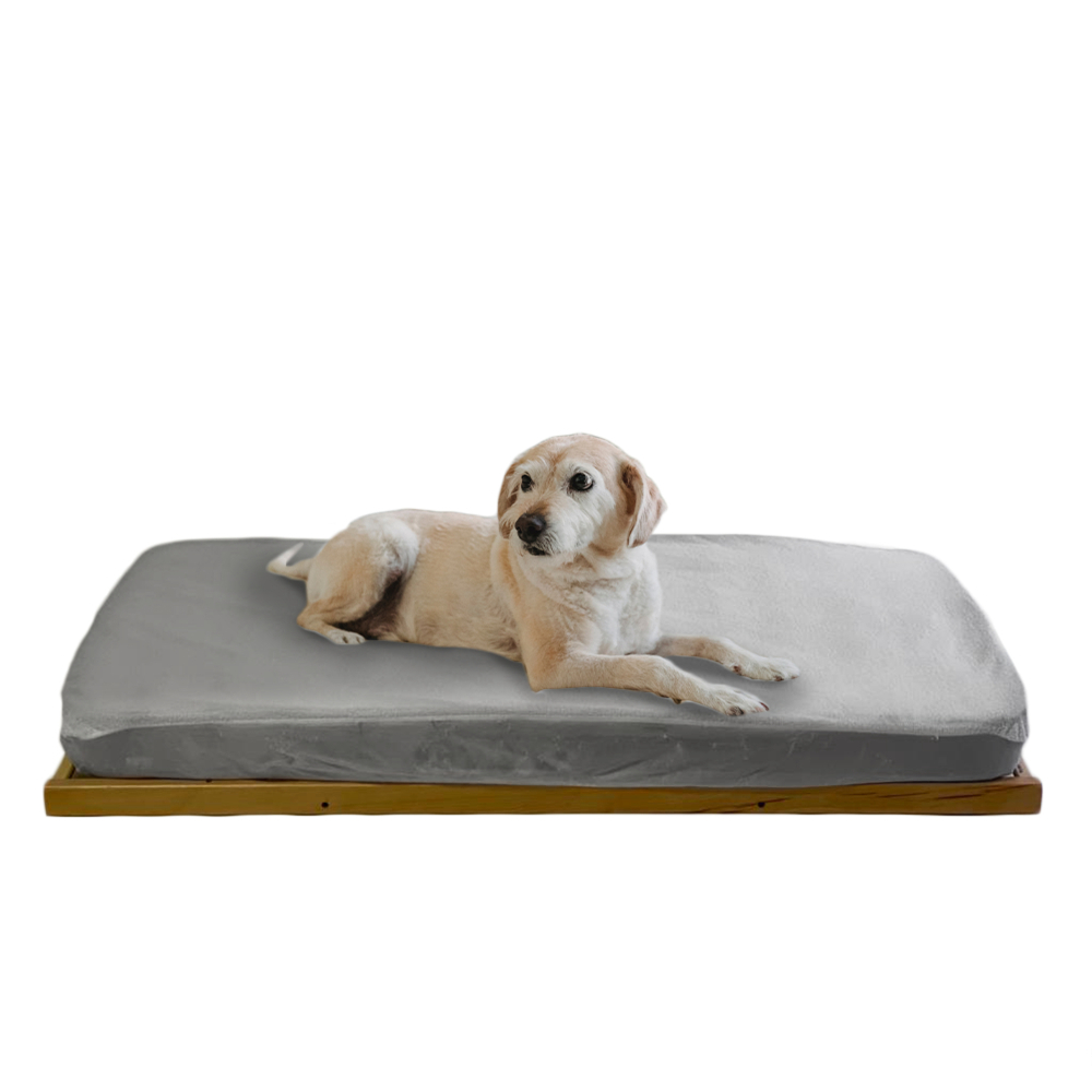 Cama para animais de estimação Throne + colchão Morpheus + protetor impermeável