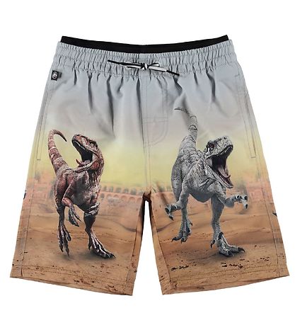 Molo Bådeshorts - UV50+ - Neal - Dino Scenery