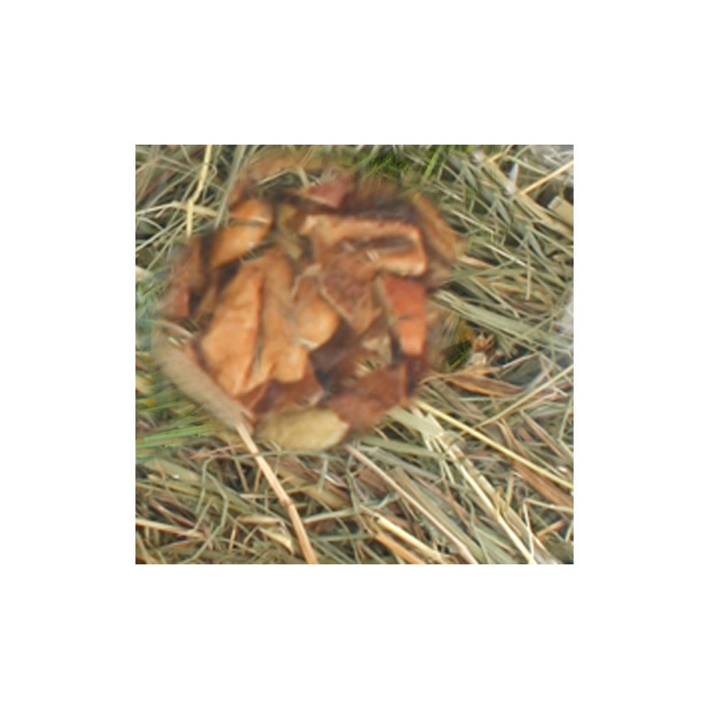 Foin de montagne aux pommes. 500 gr. Pour rongeurs