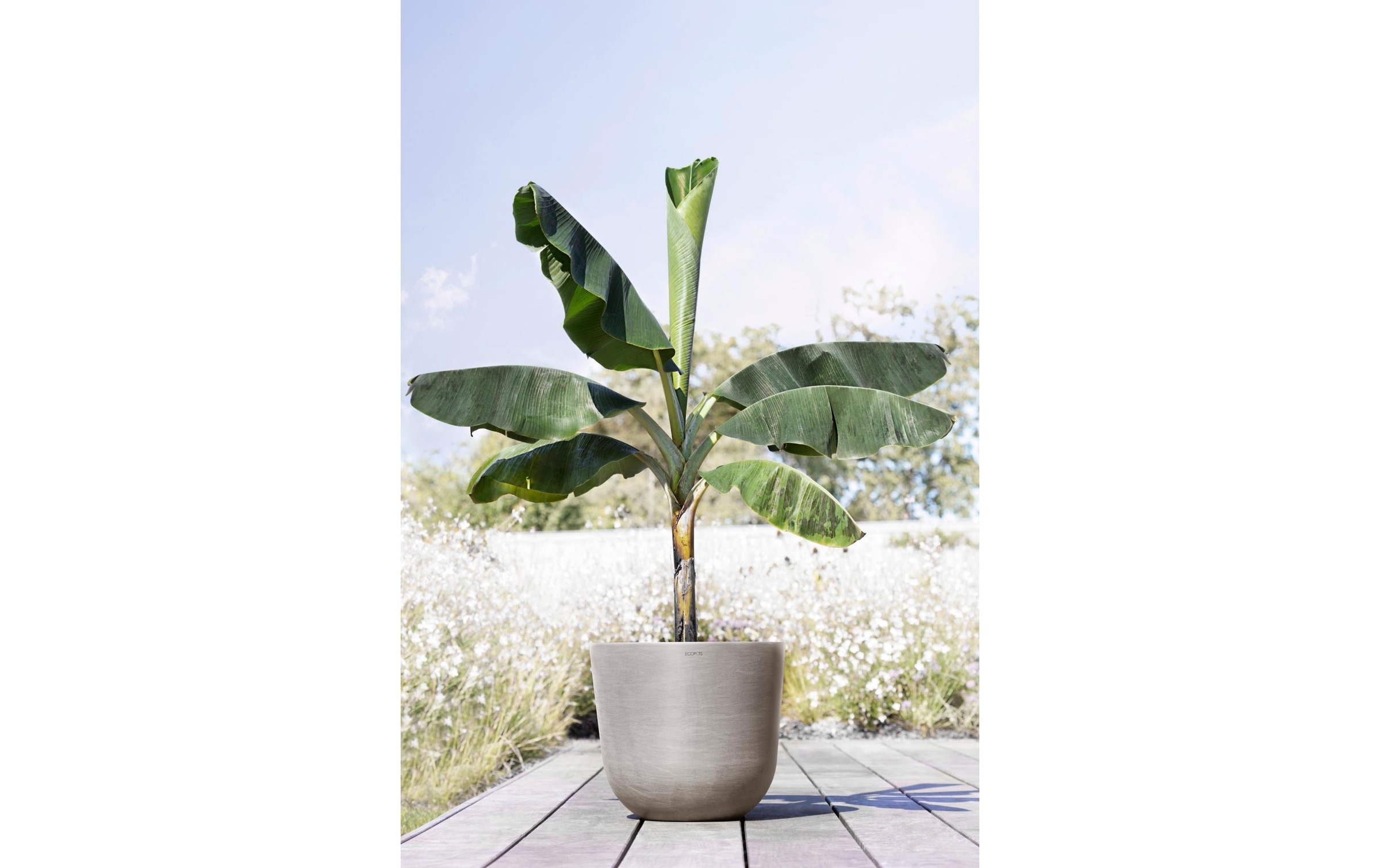 ECOPOTS Pflanzkübel »Oslo 45«